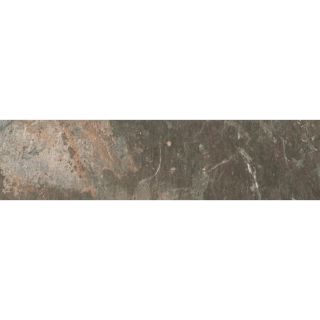 FLOORS 2000 Afrika Cape Town Porcelain Bullnose Tile (Common 3 in x 12 in; Actual 3 in x 11.81 in)