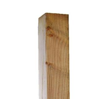 Pressure Treated Timber #2 Hi Bor (Common 4 in. x 4 in. x 8 ft.; Actual 3.56 in. x 3.56 in. x 96 in.) 95337