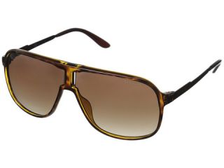 Carrera New Safari/S Havana Brown/Brown Gradient