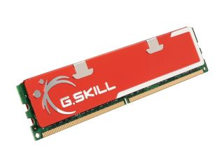 G.SKILL 2GB 240 Pin DDR2 SDRAM DDR2 800 (PC2 6400) Desktop Memory Model F2 6400CL6S 2GBMQ