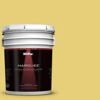 BEHR MARQUEE 5 gal. #P320 5 Green Papaya Flat Exterior Paint 445405