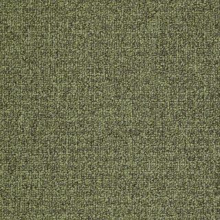 Shaw Home and Office Fernwood Berber Outdoor Carpet