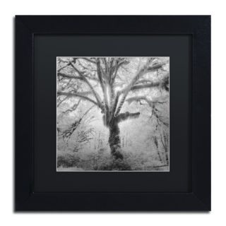 Lightning Tree II by Moises Levy Framed Photographic Print in Black
