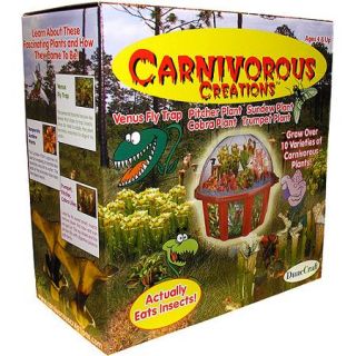 Carnivorous Creations   Plant Growing Kit