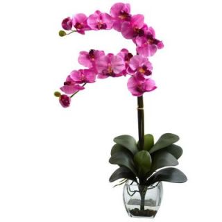 Nearly Natural Double Phalaenopsis Orchid with Vase Arrangement in Mauve 1323 MV