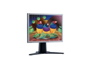 ViewSonic Pro Series VP2000S Silver Black 20" 16ms LCD Monitor 250 cd/m2 400:1