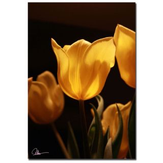 Yellow Bouquet by Martha Guerra Photographic Print on Canvas