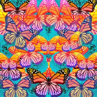 Float Like A Butterfly Canvas Art