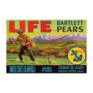Life Brand Bartlett Pears Print (Unframed Paper Poster Giclee 20x29)