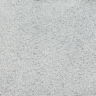STAINMASTER TruSoft Chimney Rock Gray/Silver Textured Indoor Carpet
