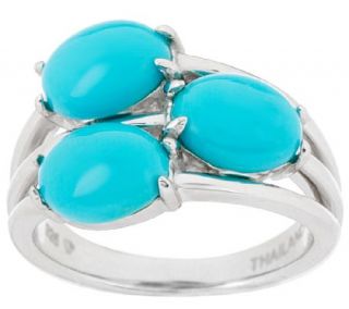 Sleeping Beauty Turquoise 3 Stone Design Sterling Ring —