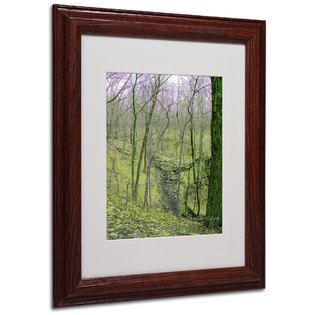Trademark Fine Art Kathie McCurdy Surreal Woods Matted Framed Art
