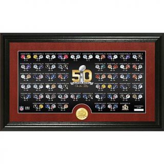 Officially Licensed NFL Super Bowl 50 Anniversary Bronze Coin Panoramic Photo M   7896444