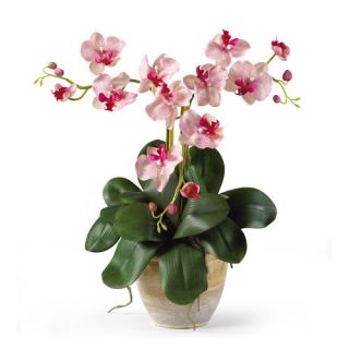 Nearly Natural Triple Mini Phalaenopsis Silk Orchid Flowers in Pink White