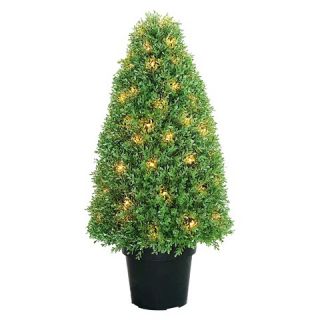 Boxwood Tree with Dark Green Growers Pot with 70 Clear Lights (36