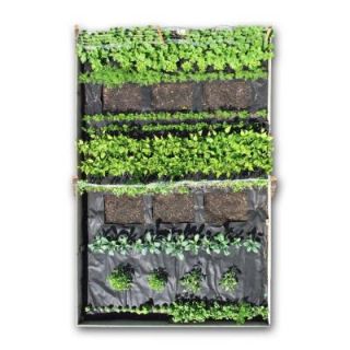 Seedsheet 120 in. x 192 in. Garden Kit with Cucumber, Lettuce, Dill, Carrots, Beans, Peas, Kale, Basil, Cilantro, and Tomatoes CLDFRM E1