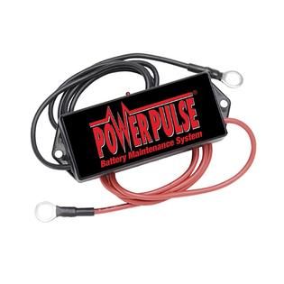 Pulsetech Powerpulse 48 Volt 735X048 PP 48 L   Fitness & Sports