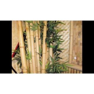 32 sq. ft. Bamboo Woven Paneling 8203148