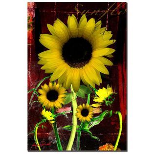 Trademark Fine Art Miguel Paredes Sunflower I 30 x 47 Canvas Art