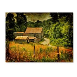 Trademark Fine Art 14 in. x 19 in. Country Road in Summer Canvas Art LBr0197 C1419GG