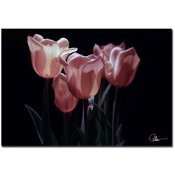 Martha Guerra Pink Blooms III Canvas Art   13821324  