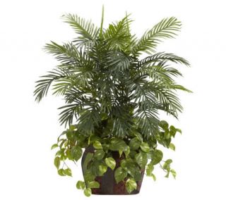 3 1/2 Double Areca with Vase & Pothos Plant byNearly Natural —