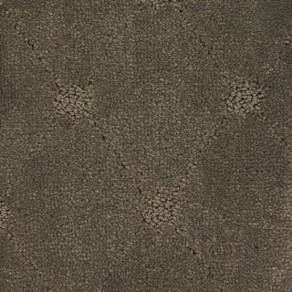 STAINMASTER TruSoft Columbia Valley Brown/Tan Cut and Loop Indoor Carpet
