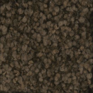 STAINMASTER TruSoft Dynamic Beauty 1 Fudge Textured Indoor Carpet