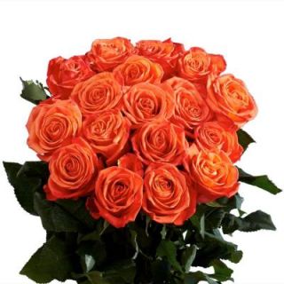 Wholesale Orange Roses (75 Extra Long Stems) Includes  roses orange 75