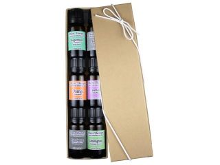 Essential oil sampler gift set in box (# 1). 6 Oils  Includes 100% Pure, Undiluted Essential Oils of Lavender, Eucalyptus, Sweet Orange, Peppermint, Lemongrass and Tea Tree. 10 ml each