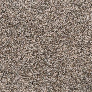 Spellbound II   Color Latte Texture 12 ft. Carpet H2003 301 1200 AB