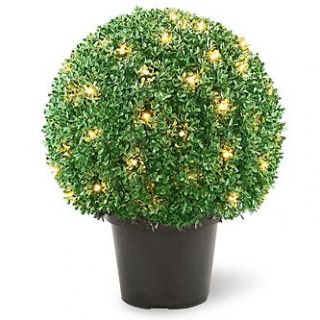 National Tree Company 22 Lighted Mini Boxwood Ball Shaped Topiary