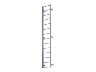 Fixed Ladder, 13 ft. 3 In H, Steel
