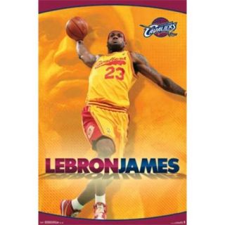 Cleveland Cavaliers   Lebron James   Yellow 2014 Poster Print (24 x 36)