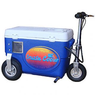 Cruzin Cooler Cooler Scooter 500w Blue   Fitness & Sports   Wheeled