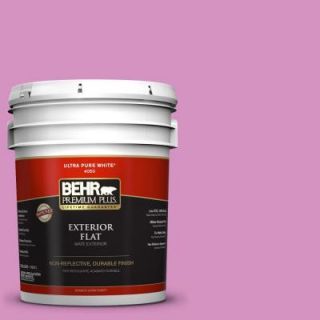 BEHR Premium Plus 5 gal. #680B 4 Pressed Flower Flat Exterior Paint 440005