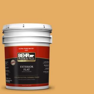 BEHR Premium Plus 5 gal. #310D 5 Sahara Shade Flat Exterior Paint 430005