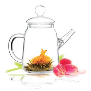 Tea Beyond Non Dripping Heat Resistant Glass Solo Teapot (Set of 6