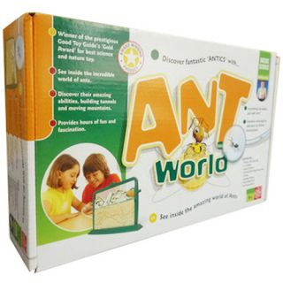 EDU Toys Ant World Kit