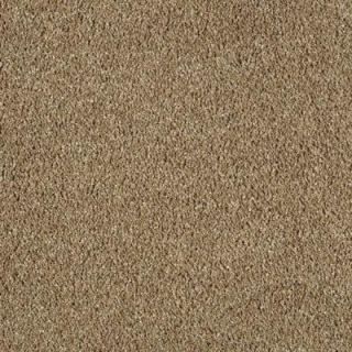 LifeProof Carpet Sample   Pagliuca II   Color Spice Cake Texture 8 in. x 8 in. MO 29910825