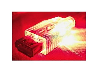 QVS CC2210C 06RDL 6 Feet Translucent Lighted Extension Cable with Red LEDs