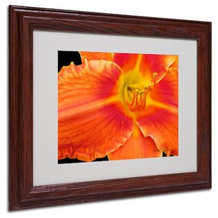 Trademark Fine Art Kathie McCurdy Orange Day Lily Matted Framed Art