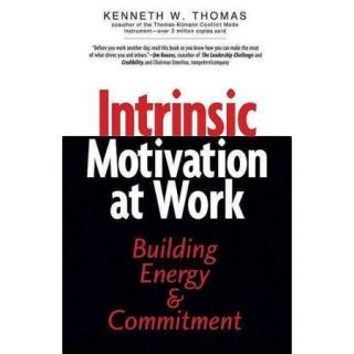 Intrinsic Motivation at Work What Really Drives Employee Engagement