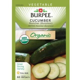 Burpee Cucumber, Muncher Org 60879