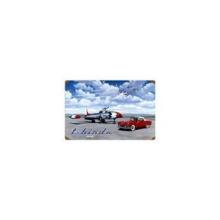 Past Time Signs STK026 T Birds Aviation Vintage Metal Sign, 24 W X 16 H inch