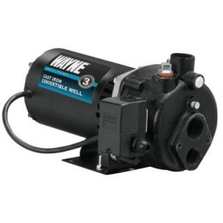 Wayne 1/2 HP Cast Iron Convertible Well Jet Pump CWS50