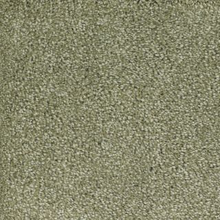 STAINMASTER TruSoft Pleasant Point Wild Rice Textured Indoor Carpet