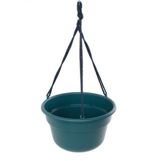 Bloem Dura Cotta Hanging Basket Turbulent Planter (Pack of 12)