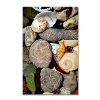 PetoskeyStones ll by Michelle Calkins Photographic Print on Wrapped
