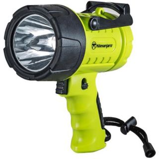 Kilimanjaro LED Spotlight, 250 Lumens